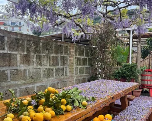 @villabellarosasorrento - Photo: 1